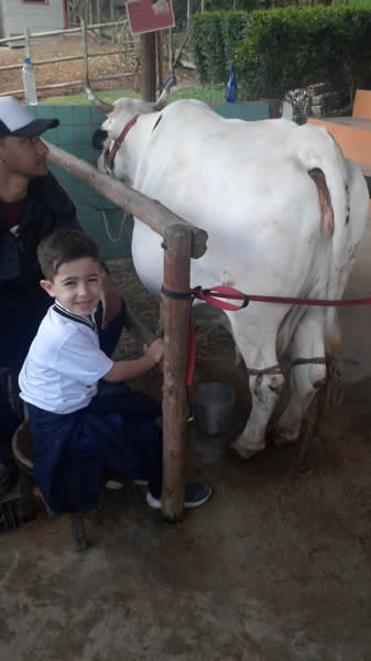 Bicho Mania 2022